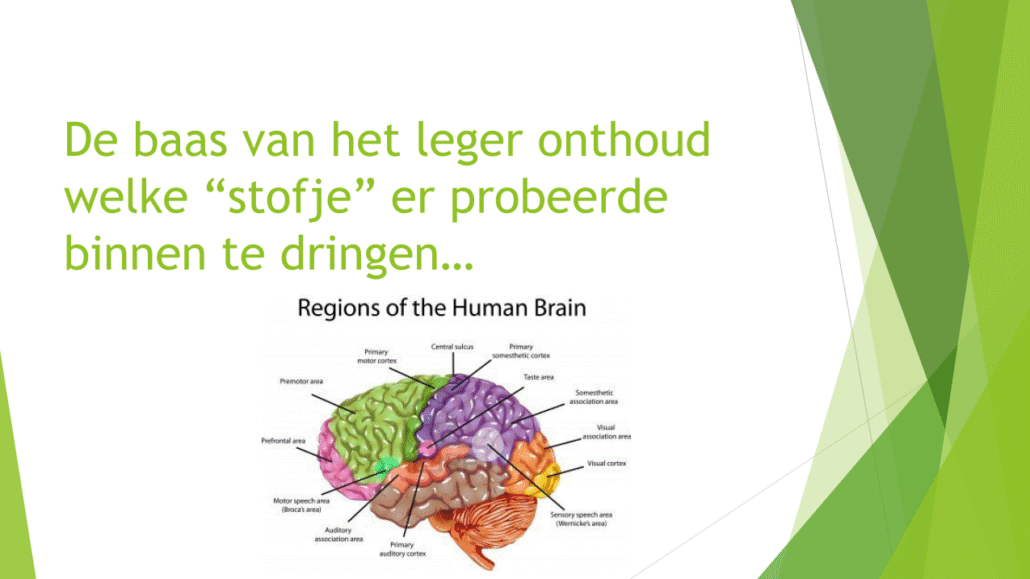 Mijn soldaatjes slapen... 04